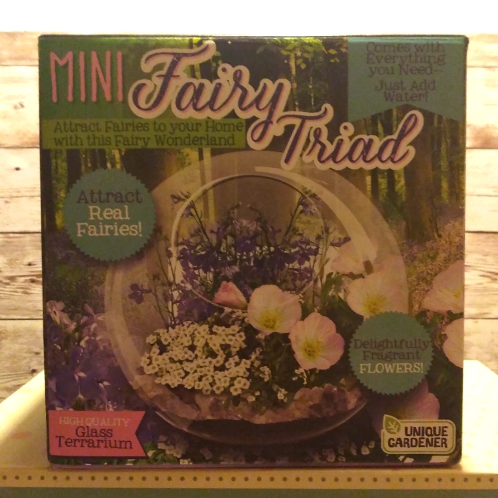 🧚🧚‍♀️🧚‍♂️Mini Fairy Triad